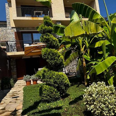 Apartamento Reina Petrovac Exterior foto