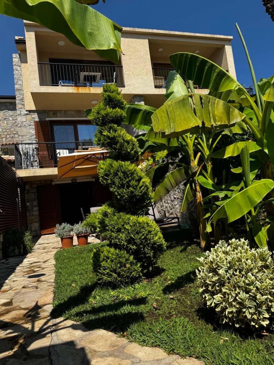 Apartamento Reina Petrovac Exterior foto